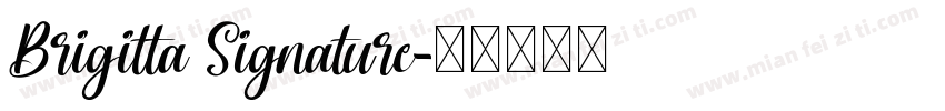 Brigitta Signature字体转换